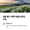 서쪽 이미지