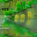 숲과 개울물 이미지