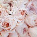 링스토리 이미지