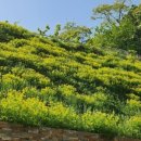 봉화산로45길 이미지