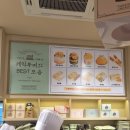 달다케이크 | 대전 성심당 케이크 추천, 케익부띠끄 멜론1통케익 후기