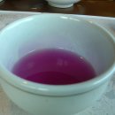 참나무쟁이 이미지