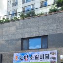 거창고등학교 | 거창고향소갈비집 가성비 맛집