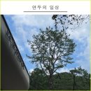 동막골 유원지 협동조합 | 노원구 동막골 수락휴 씨즌 서울 바이 홍신애 레스토랑, 카페 메뉴와 후기