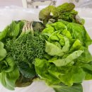 미리네농장 이미지