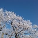 산내들어린이집 이미지