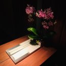 더팀버하우스 이미지