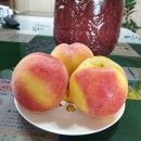 향로농장 이미지