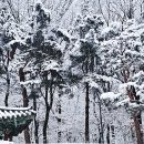 설화 이미지