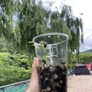 반딧골캠핑장 이미지