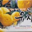 참샘푸드