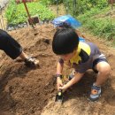 유안농장 이미지