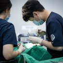 이라인치과기공소 이미지