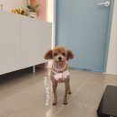 보리미용실 이미지