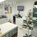 신월동물병원 이미지