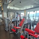 더 프리미엄 1:1 운동센터 네이버블로그
