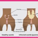 이루동물병원 이미지