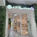 롯데마트광복점 | 부산 이색체험, 앵무새 카페 리프패럿 롯데마트 광복점후기(롯데백화점 내 위치)