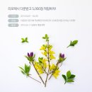 (주)리모 이미지