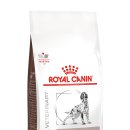 로얄펫동물병원 이미지