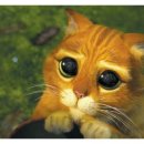 지경희동물병원 이미지