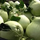 동탄중앙어울림센터 (동탄어울림사회복지관 3층) 이미지