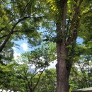 남원농협 이백지점 이미지