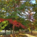 강당말공원 이미지