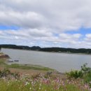 뷰무인텔 이미지