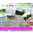내리사랑태권도체육관 이미지
