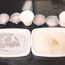 백석 복지리 죽집 배달되는 참죽 맛있지만 양은..