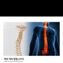 참사랑의료기 이미지