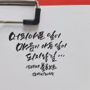 보누 Daum카페