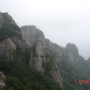 명신빌딩 앞 이미지