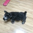 법무법인웅지