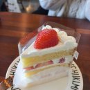 컴포즈커피 울진북면점 | 앨범털기 감사일기 다섯가지 이상 써보기