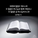 [NIV MDS 8-01-3] 요한복음 1장 1절 이미지