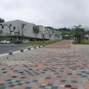 콩세계과학관 이미지