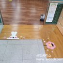 해빛유치원 Daum카페