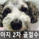 우신정형외과 이미지