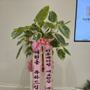 연세든든치과의원 이미지