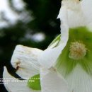 송생초등학교 이미지