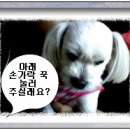 어서타개 이미지