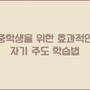 주도가 티스토리