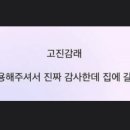 여름에 입맛 없다 누가 그래?