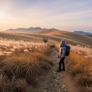 발산마을회관 | 영축산 신불평원 해돋이 겨울 억새가 춤추는 황금빛 바다