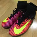 수원-0161 이미지