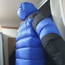 필프렌즈