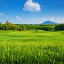 연태농장 이미지