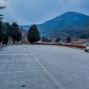 나전역 | 정선 파크로쉬 근처 카페｜나전역카페｜내돈내산 아이랑 방문 후기｜애견동반 가능